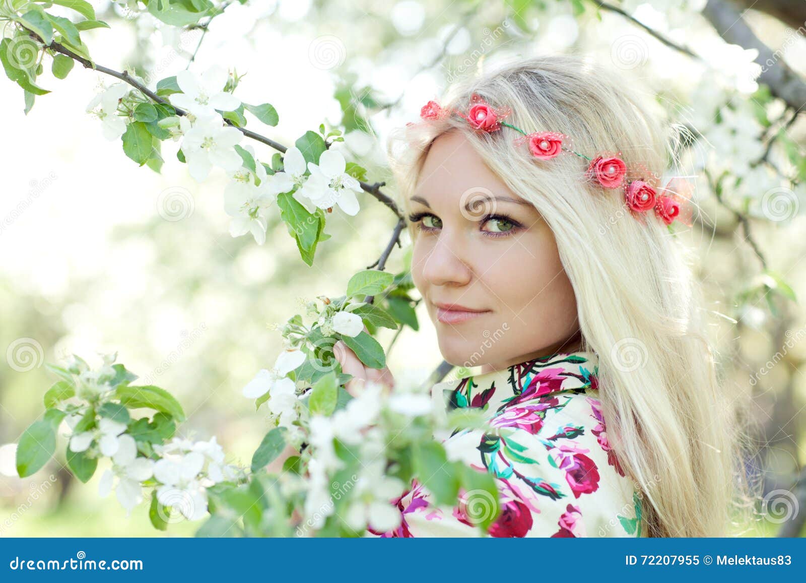 Woman And Blossoming Apple Tree Stock Image Image Of Nature Summer 72207955