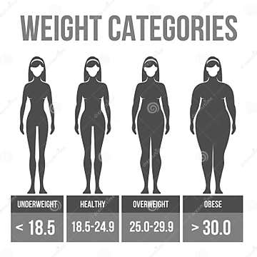 Woman body mass index. stock vector. Illustration of illness - 35561268