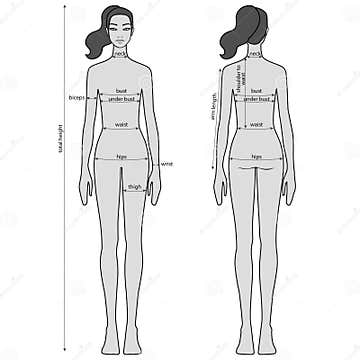 Woman Body Measurement Chart. Female Figure: Front and Back Views ...