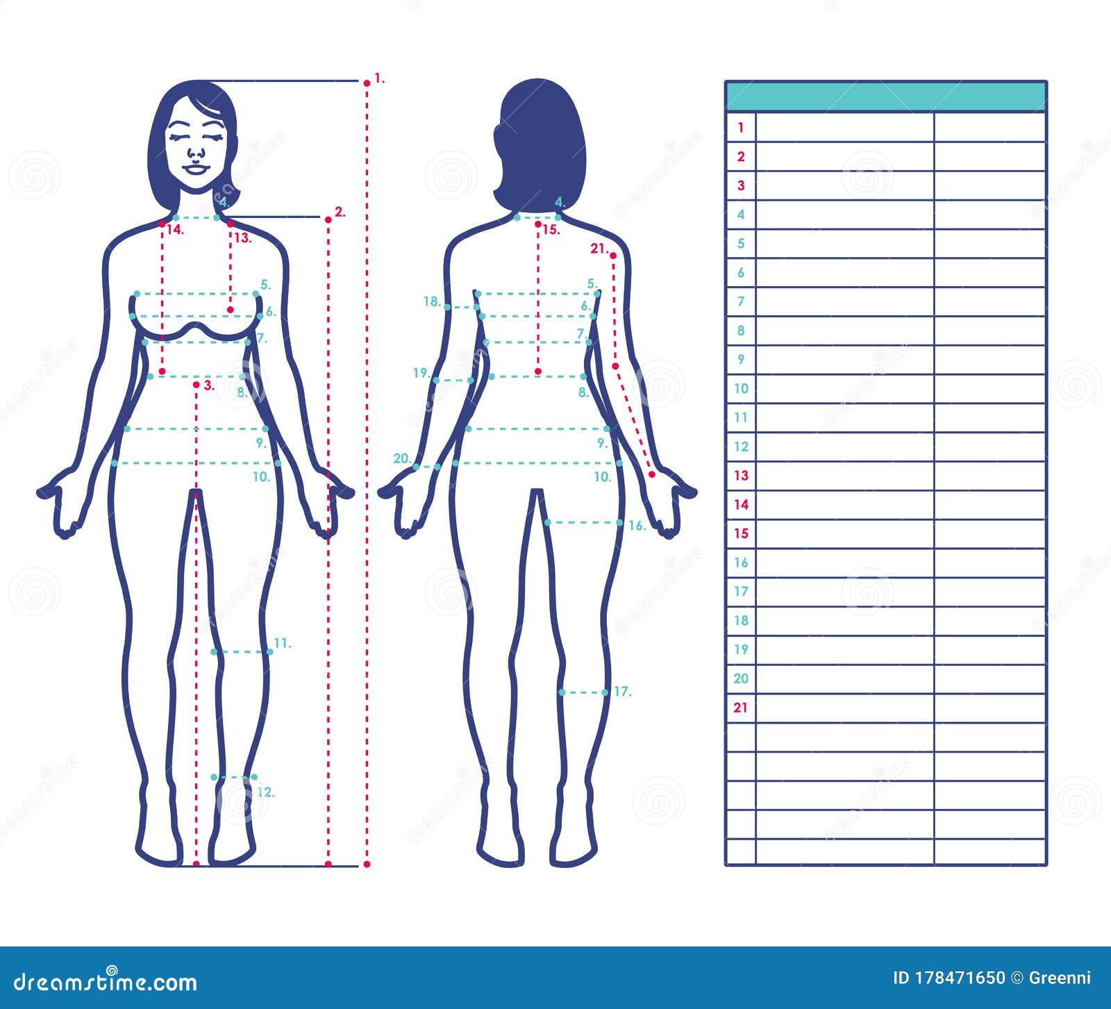 Woman Body Measurement Scheme Of Measurement Human Body Front And Back Table For Entries Vector Template For Sewing Clothes Stock Illustration Illustration Of Chart Person 178471650