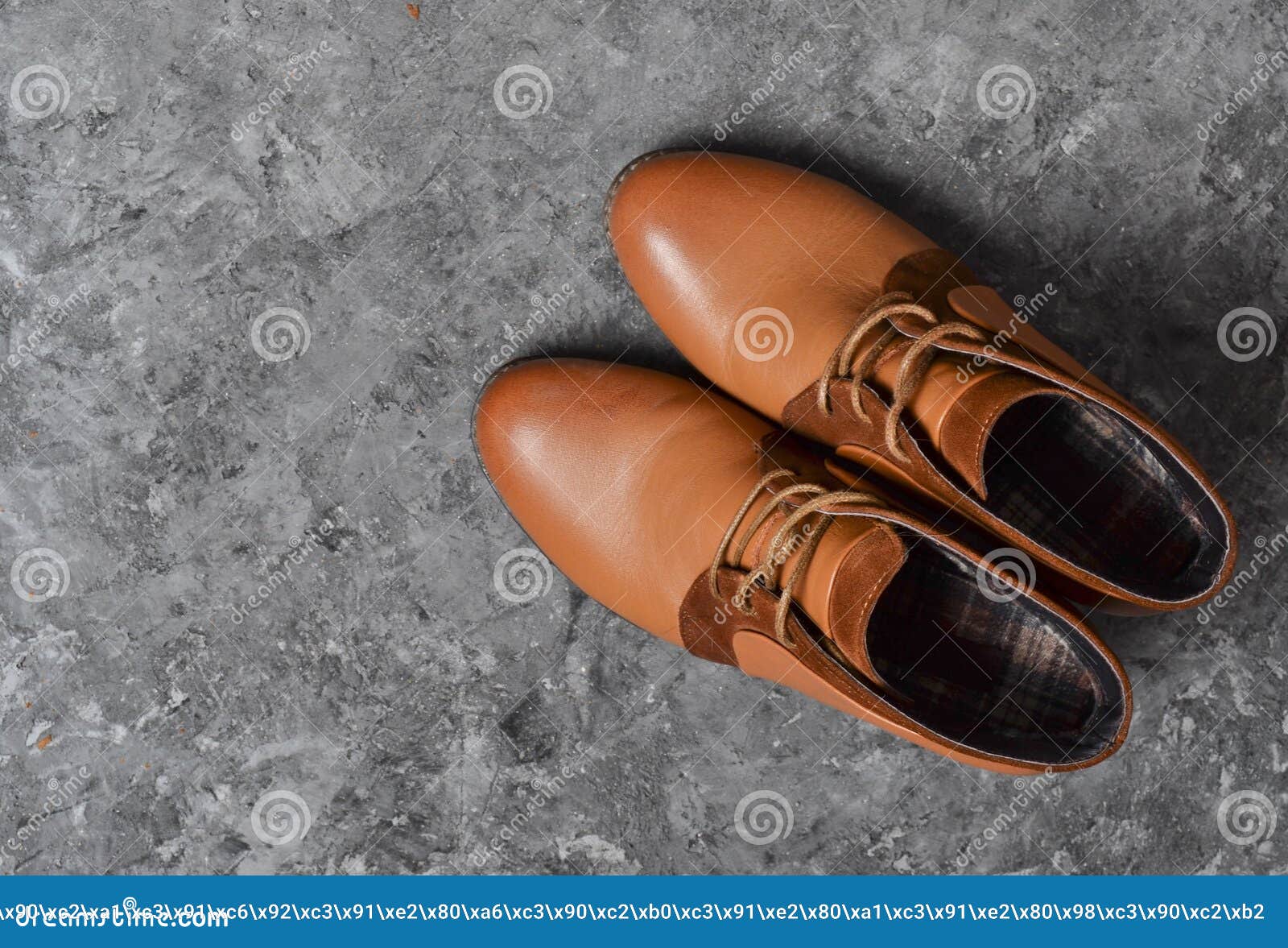 Woman Boots on Concrete Floor. Top View. Stock Photo Image of elegant