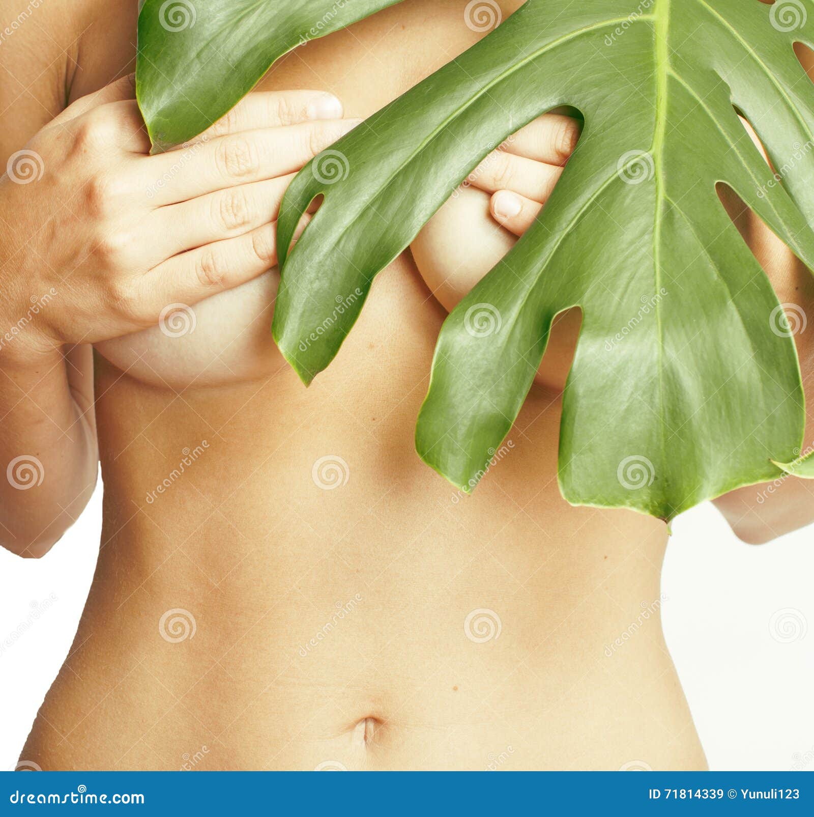 1600px x 1605px - Woman Breasts Naked with Exotic Asian Leaf Tann Isolated Close Up, Part of  Body Spa Stock Image - Image of beauty, girl: 71814339