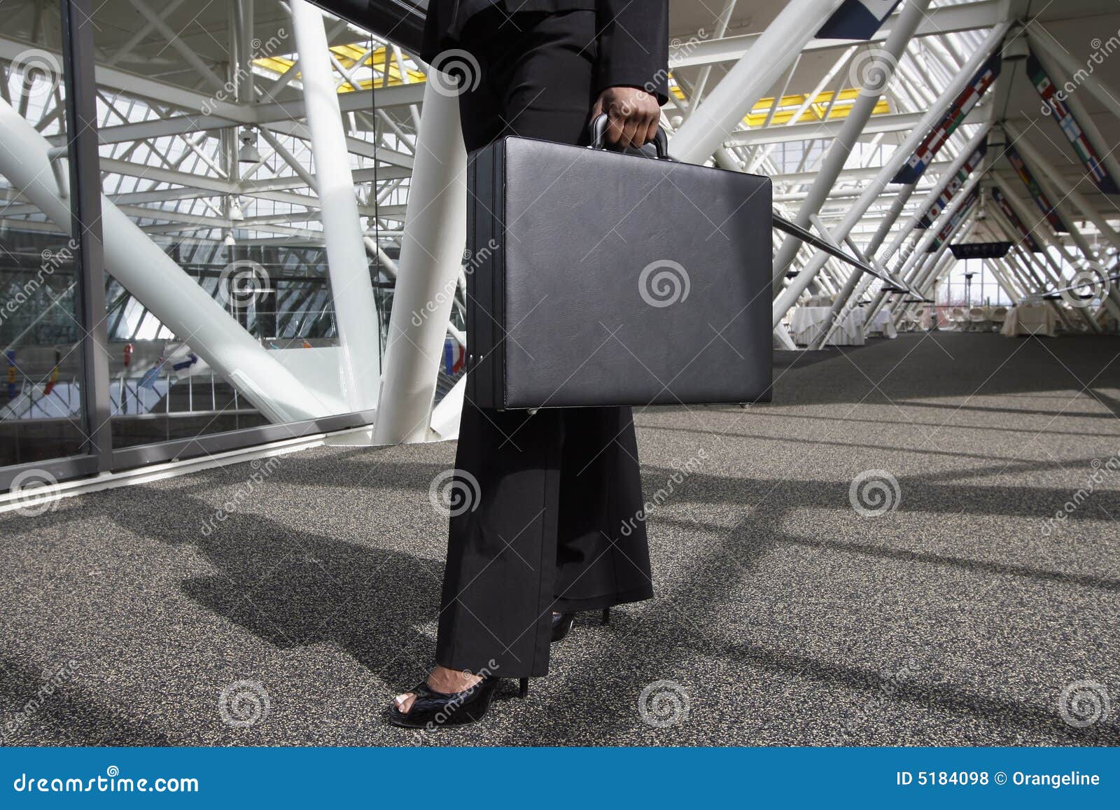 Woman with Briefcase stock photo. Image of businesswoman 5184098