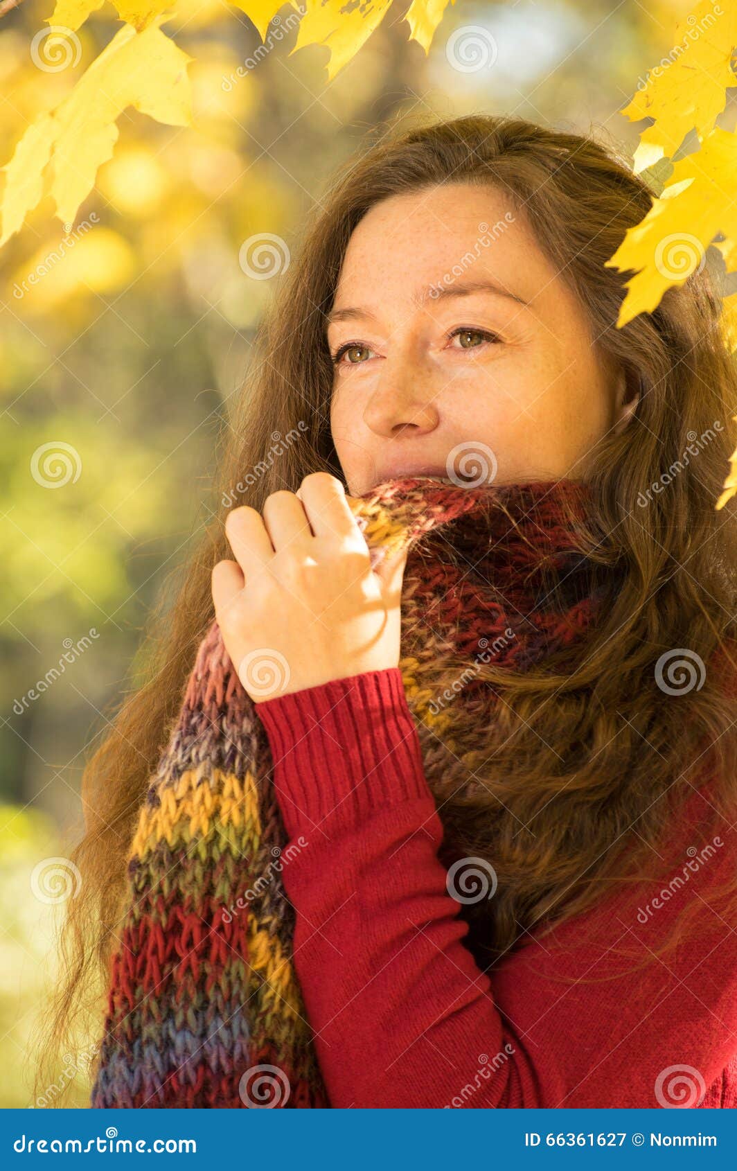 Woman with Brown Hair at Autumn Forest Stock Image - Image of leaf ...