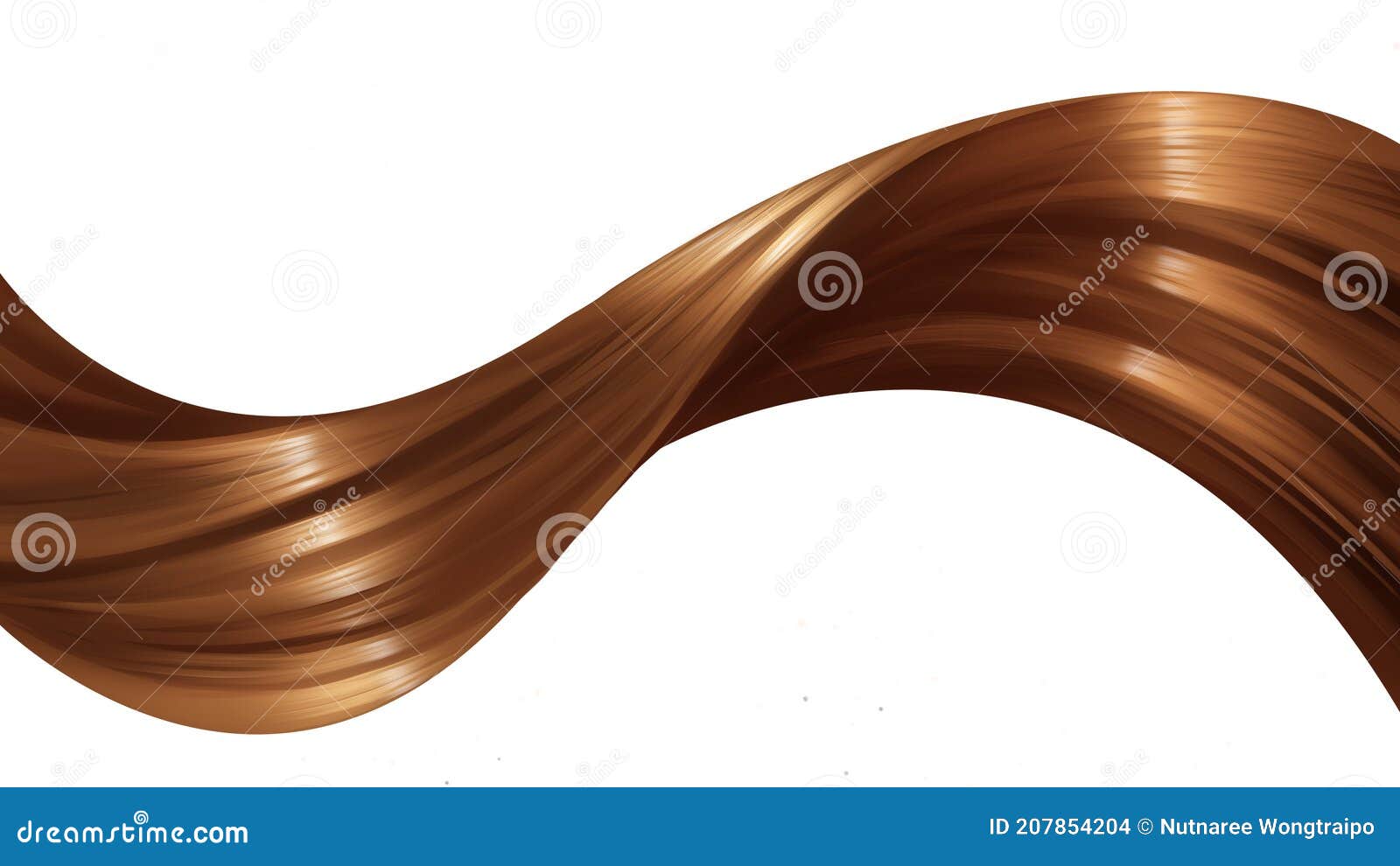 woman brown hairline is spiral  concept
