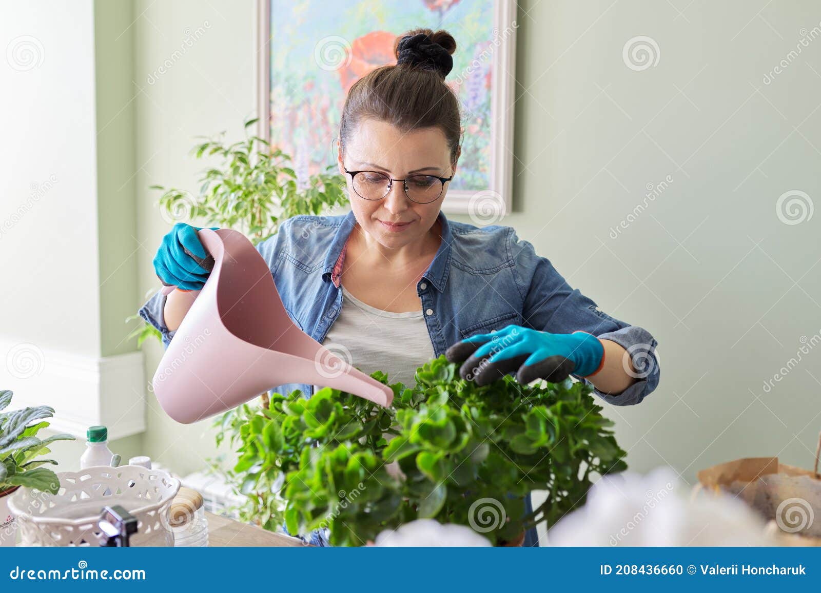 woman caring for indoor plants, hobbies and leisure, nature in the house