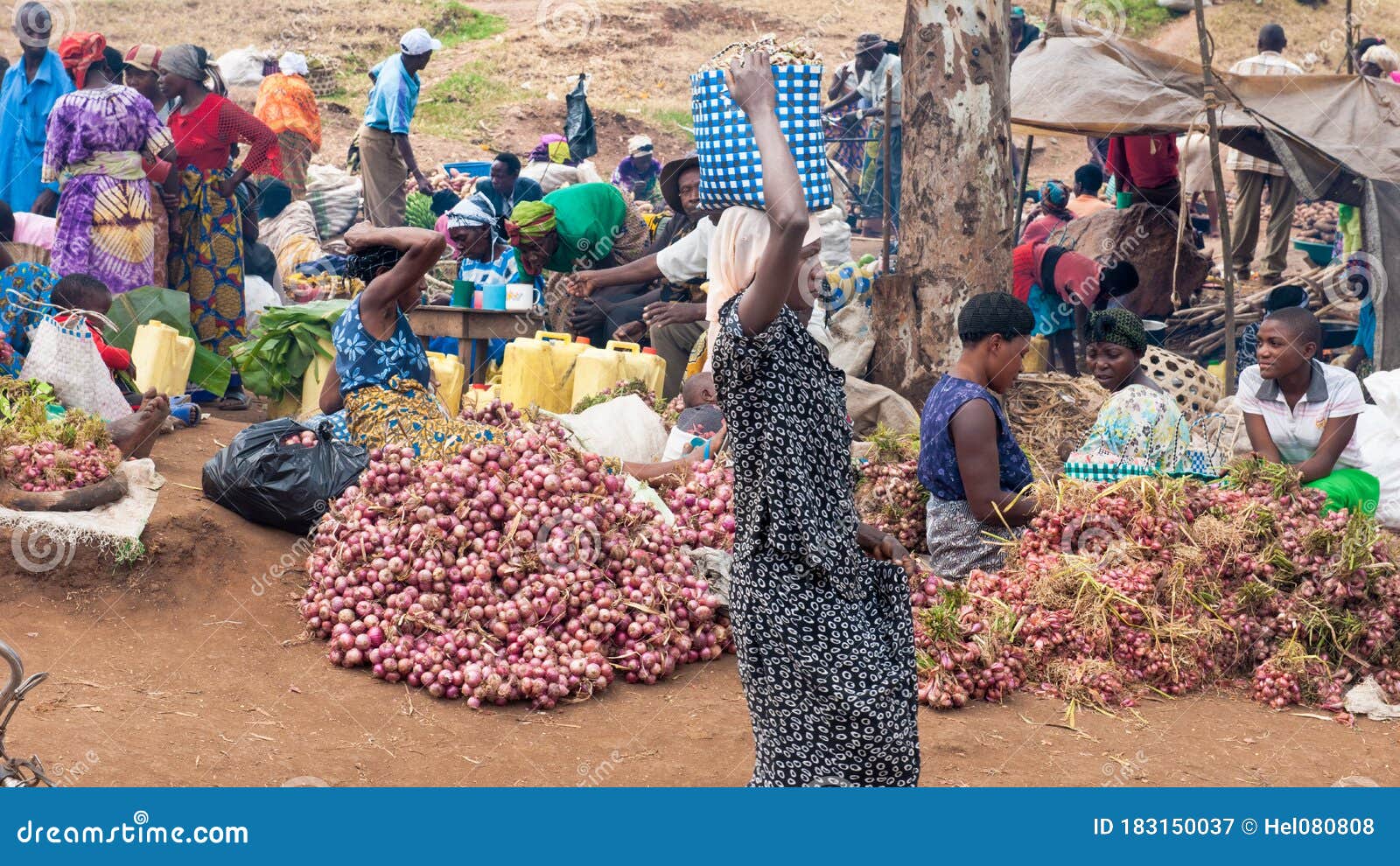 Onion Market