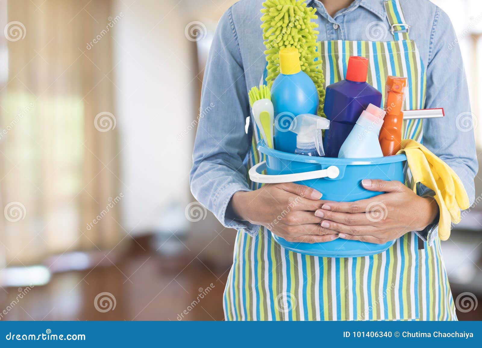 Woman Cleaning House Images – Browse 16 Stock Photos, Vectors