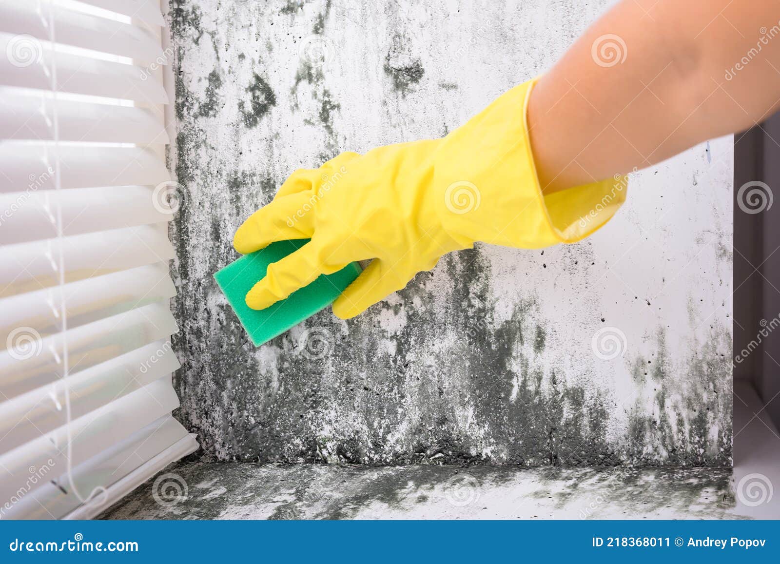 Woman Cleaning Mold from Wall Stock Image Image of health, equipment