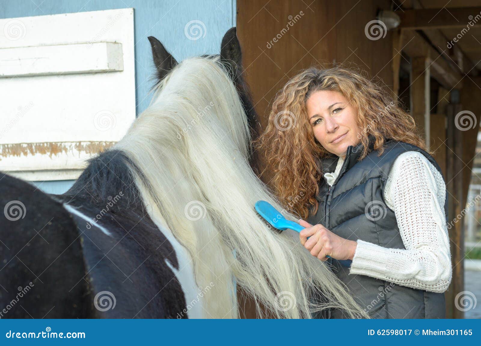 Woman Combing the Mane of the Horse Stock Image Image of comb, care