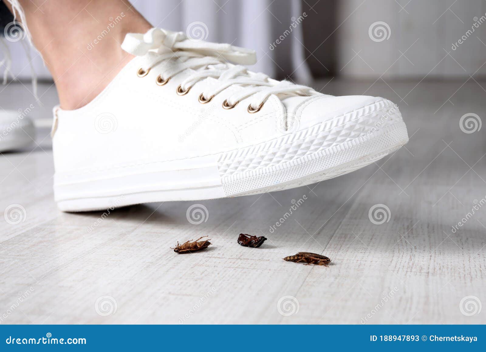 woman crushing cockroaches with feet. pest control