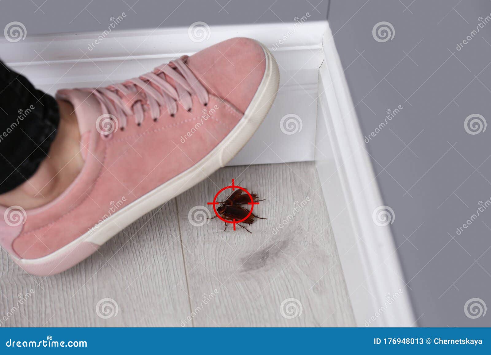 Photo about Woman crushing cockroaches with feet indoors, closeup. 