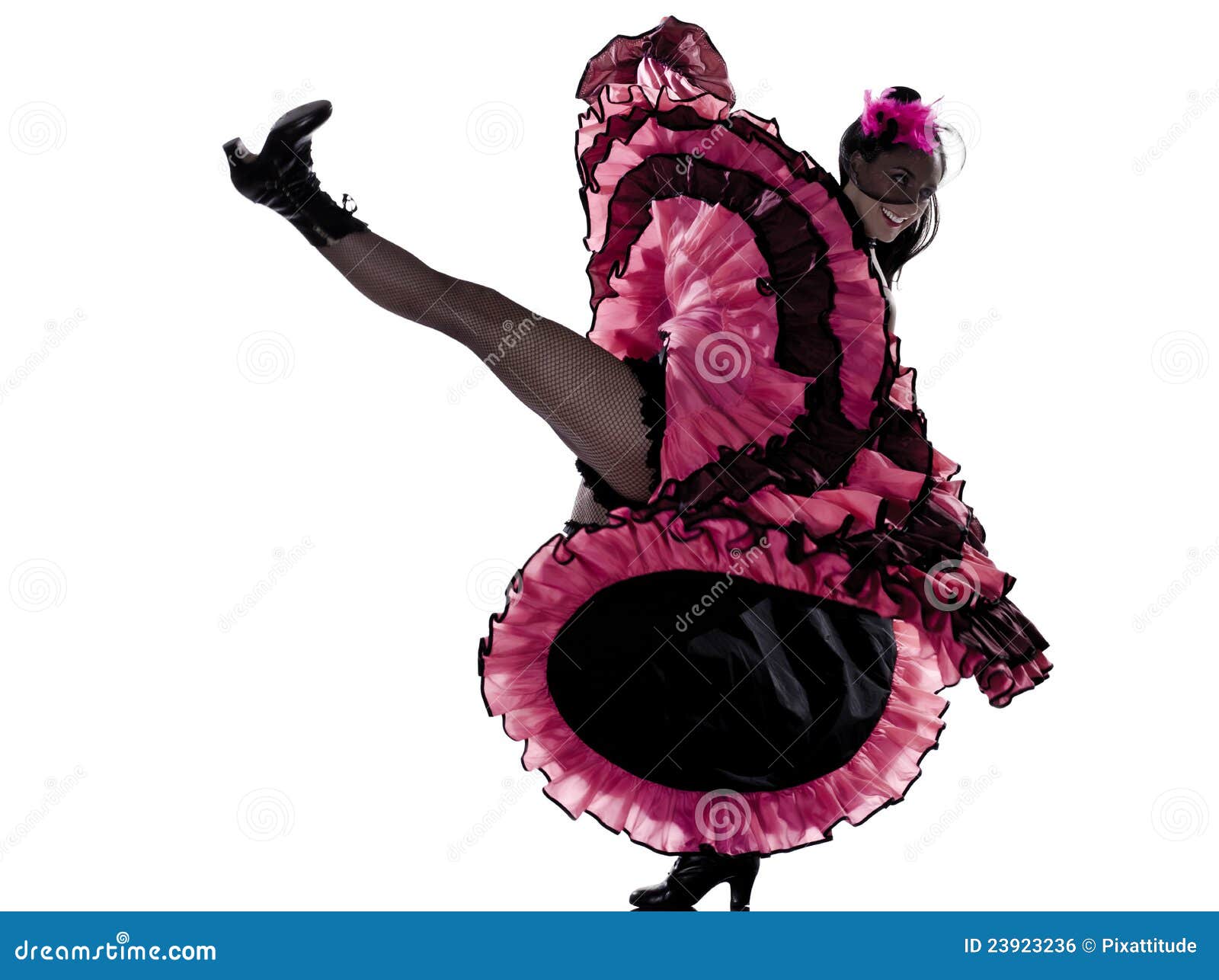 Cancan dancer stock photo. Image of elegance, costume - 54619770