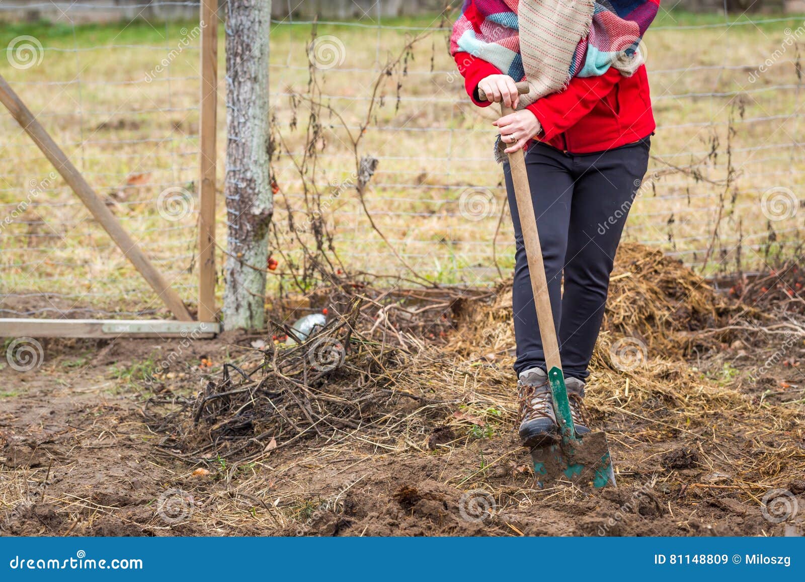 Woman Digging with Spade in Garden Stock Image - Image of dirt, handle ...