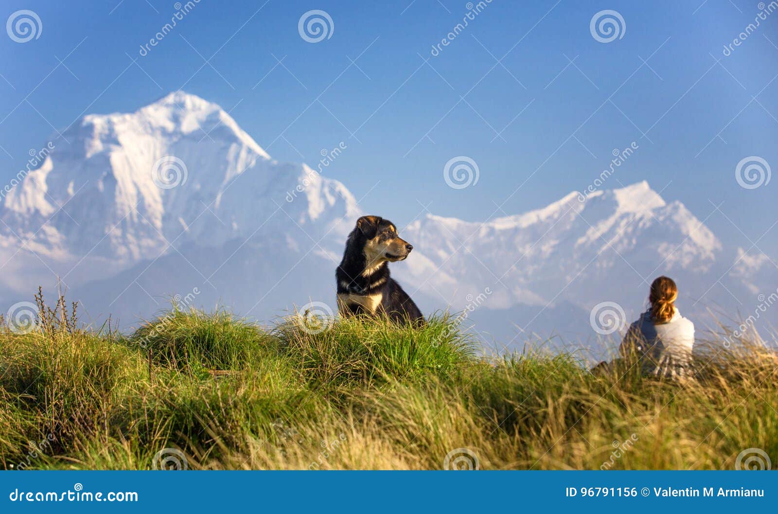 woman and dog at poon hill in himalayas