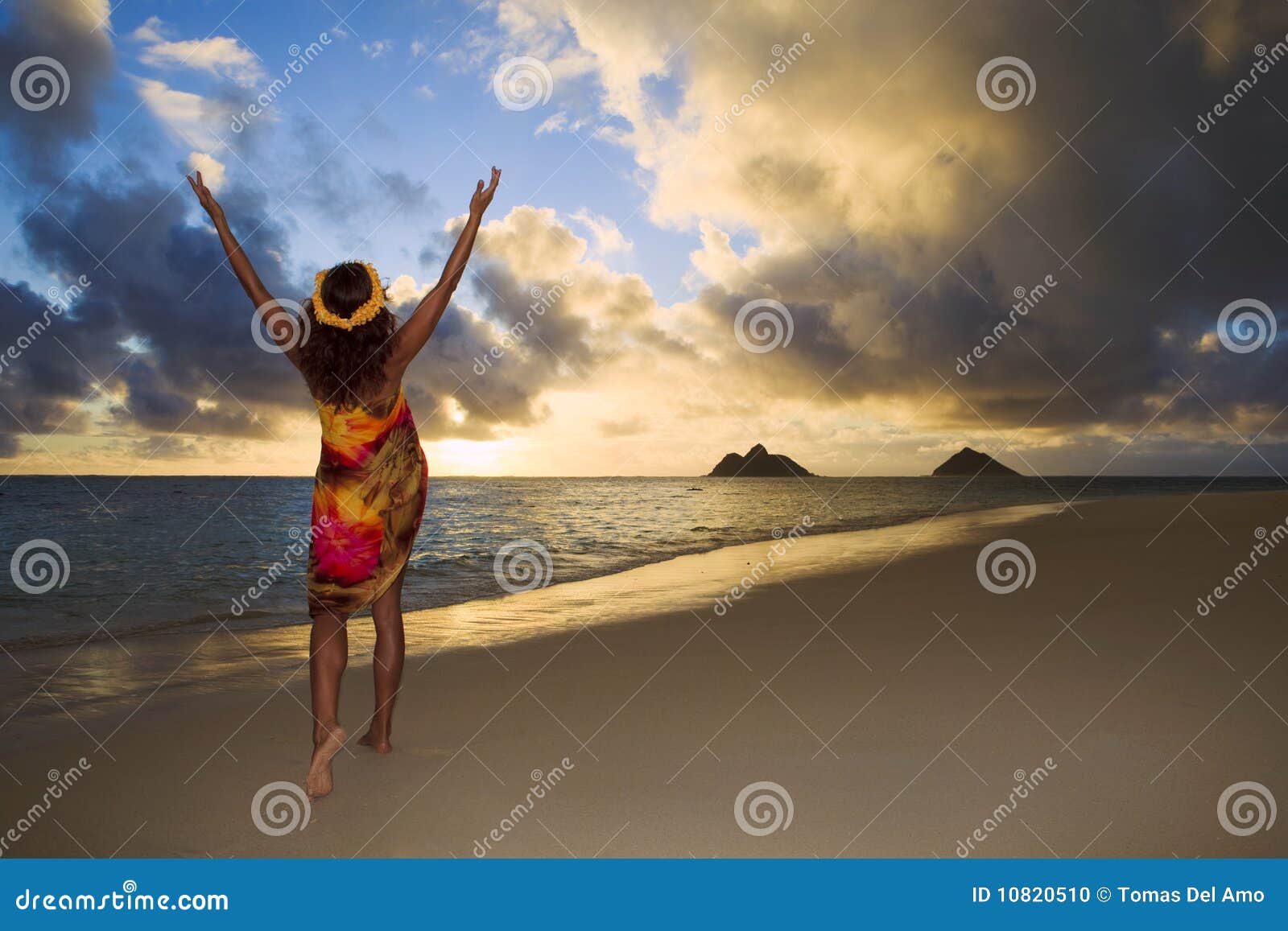 Handsome Male Hula Dancer on the beach at sunset in traditional costume grass  skirt. 14685735 Stock Photo at Vecteezy