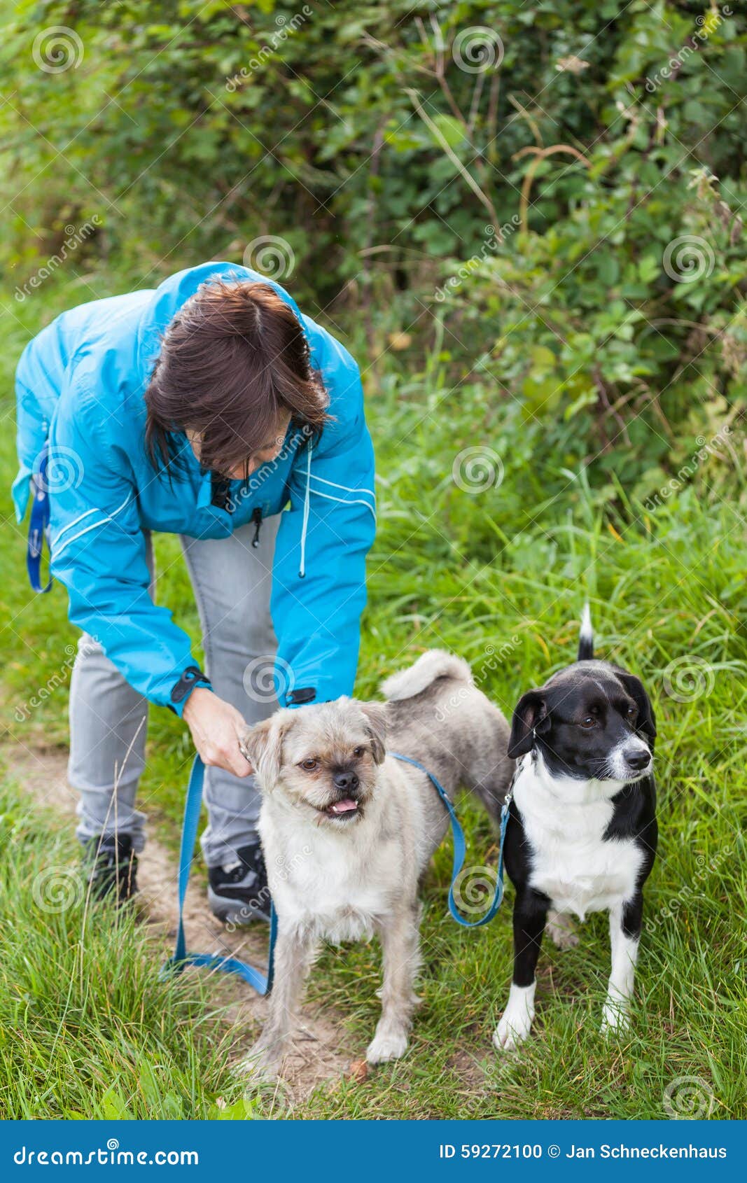 A Woman is Doing Leash Her Dogs Stock Photo Image of leash, danger