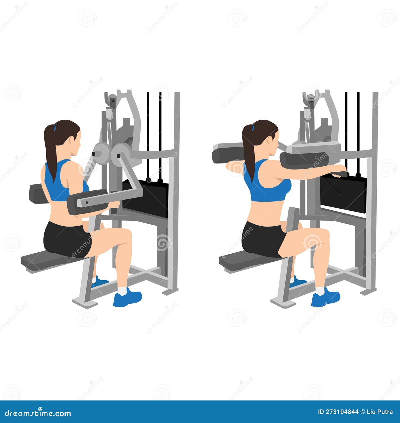 Woman Doing Seated Lateral Raise Machine. Power Partials Exercise Stock  Vector - Illustration of sport, raises: 273104844