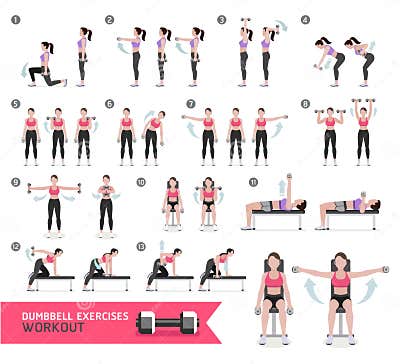 Woman Dumbbell Workout Fitness and Exercises. Stock Vector ...