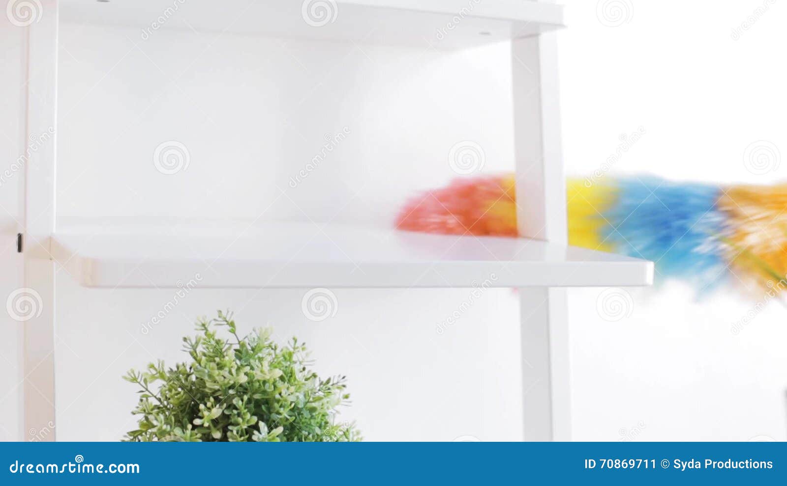 Woman with Duster Cleaning Dust from Shelf at Home Stock Video Video