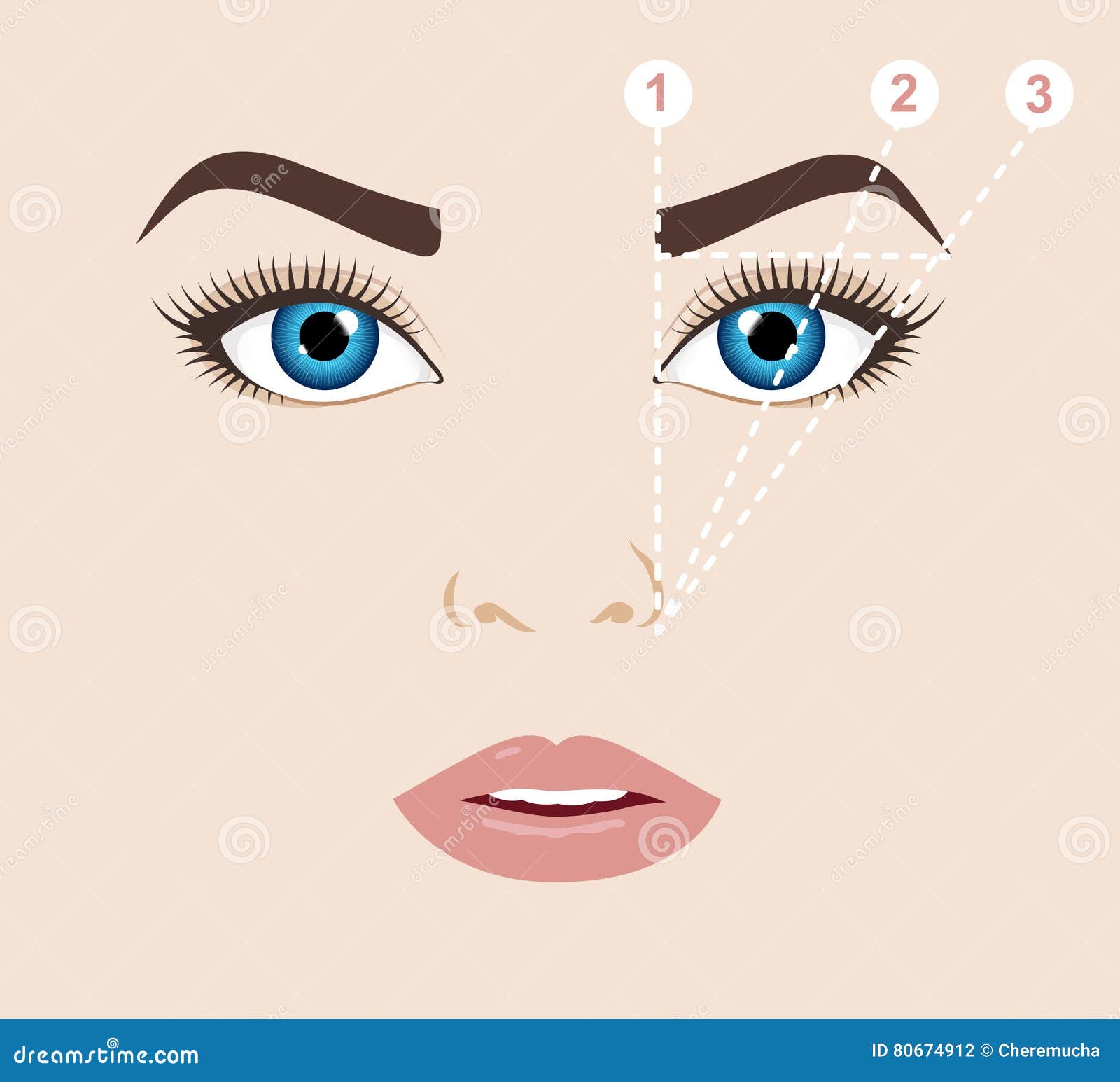 woman face and eyebrow scheme mapping. trimming.  illust