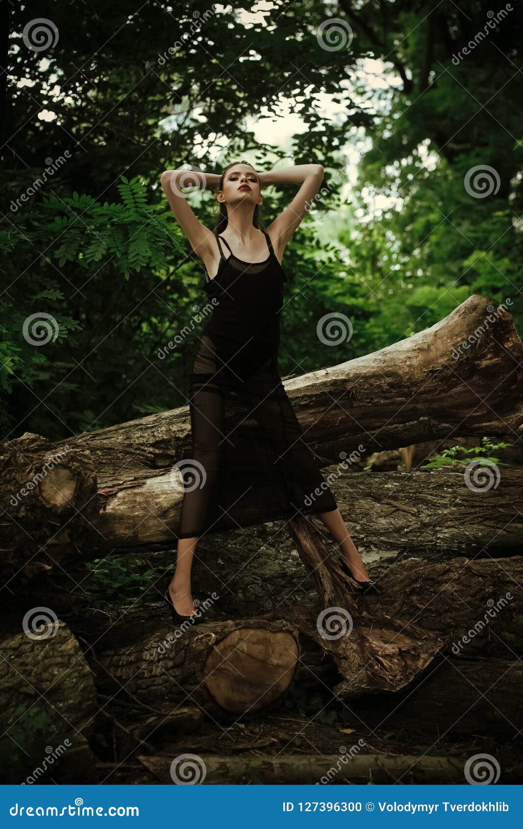 wood, woods, forest, jungle, wild, tree, bunch, pose, girl, woman | Pxfuel