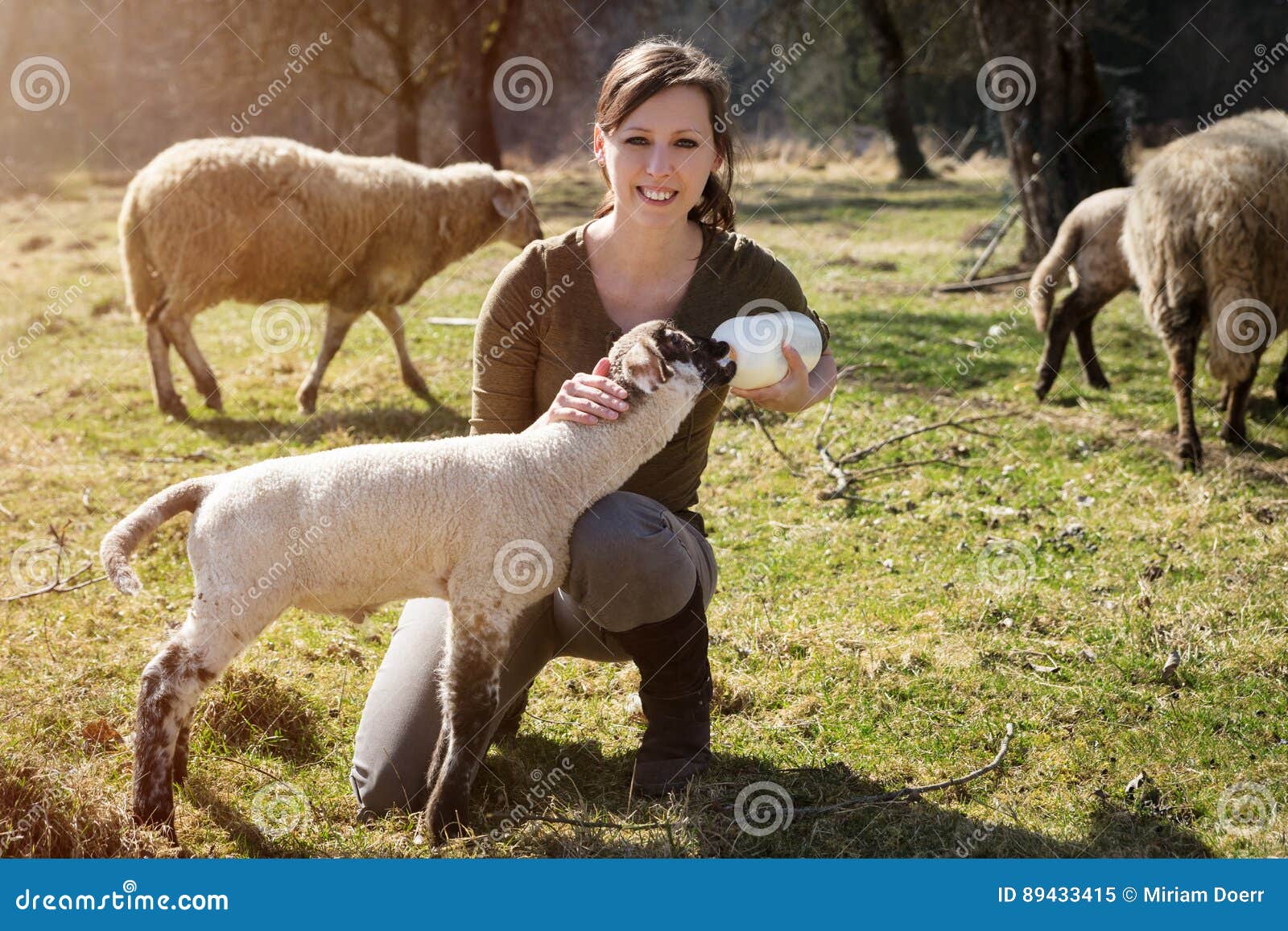Woman is Feeding a Lamb with Bottle of Milk, Animal Welfare and Stock Image  - Image of cute, farmer: 89433415