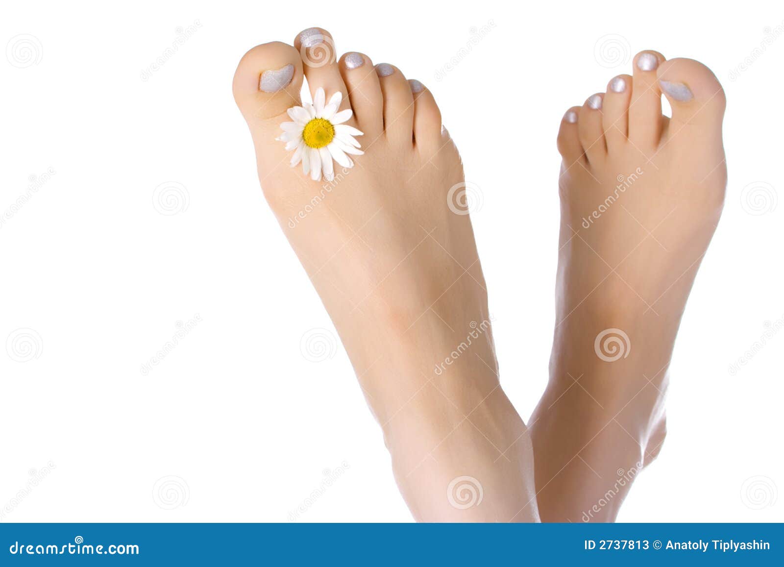 Woman feet with ox-eye stock image. Image of pedicure 