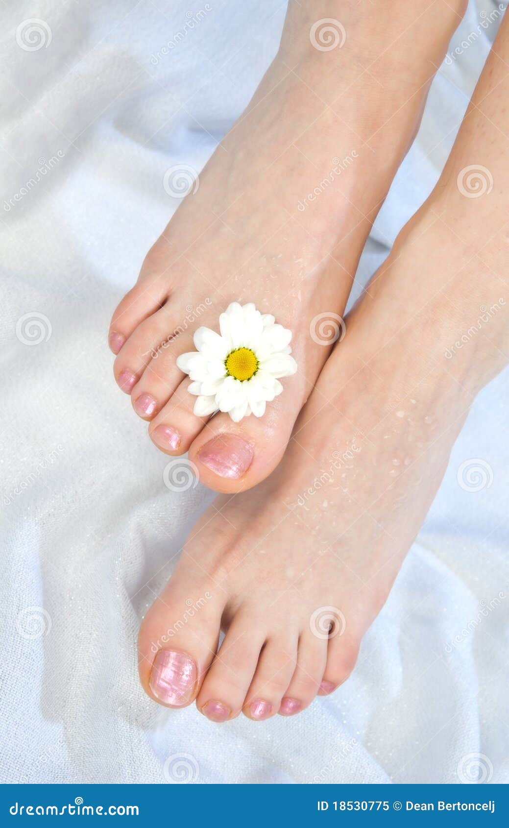 Woman feet after pedicure stock image. Image of foot 18530775
