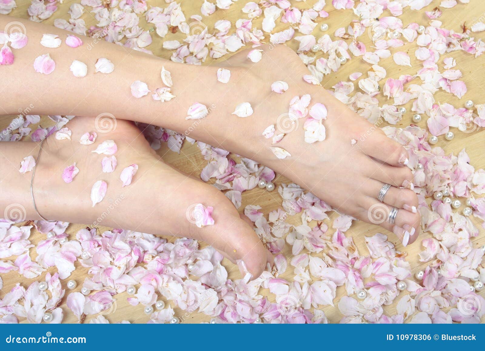 Woman feet and rose petals stock photo. Image of pamper 10978306