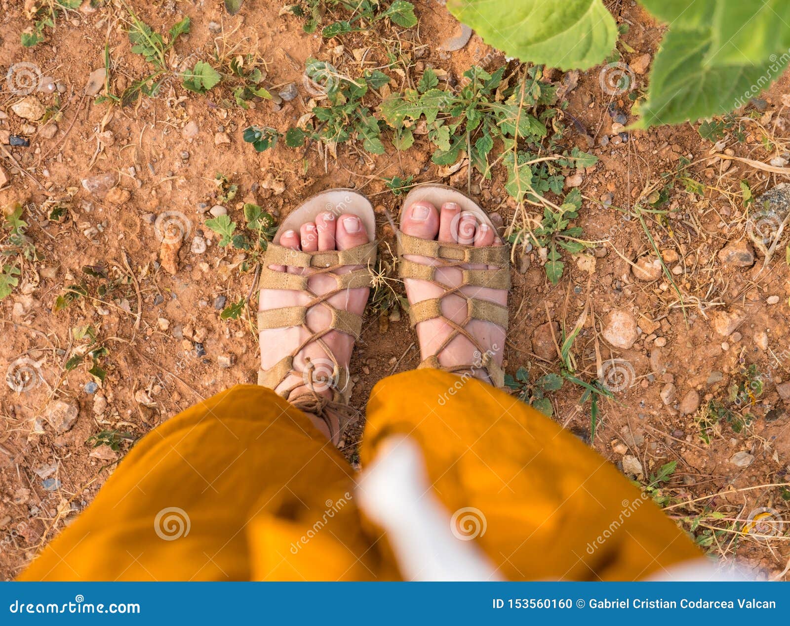 Woman Feet with Sandals on Dry Soil on Summer Stock Photo - Image of ...