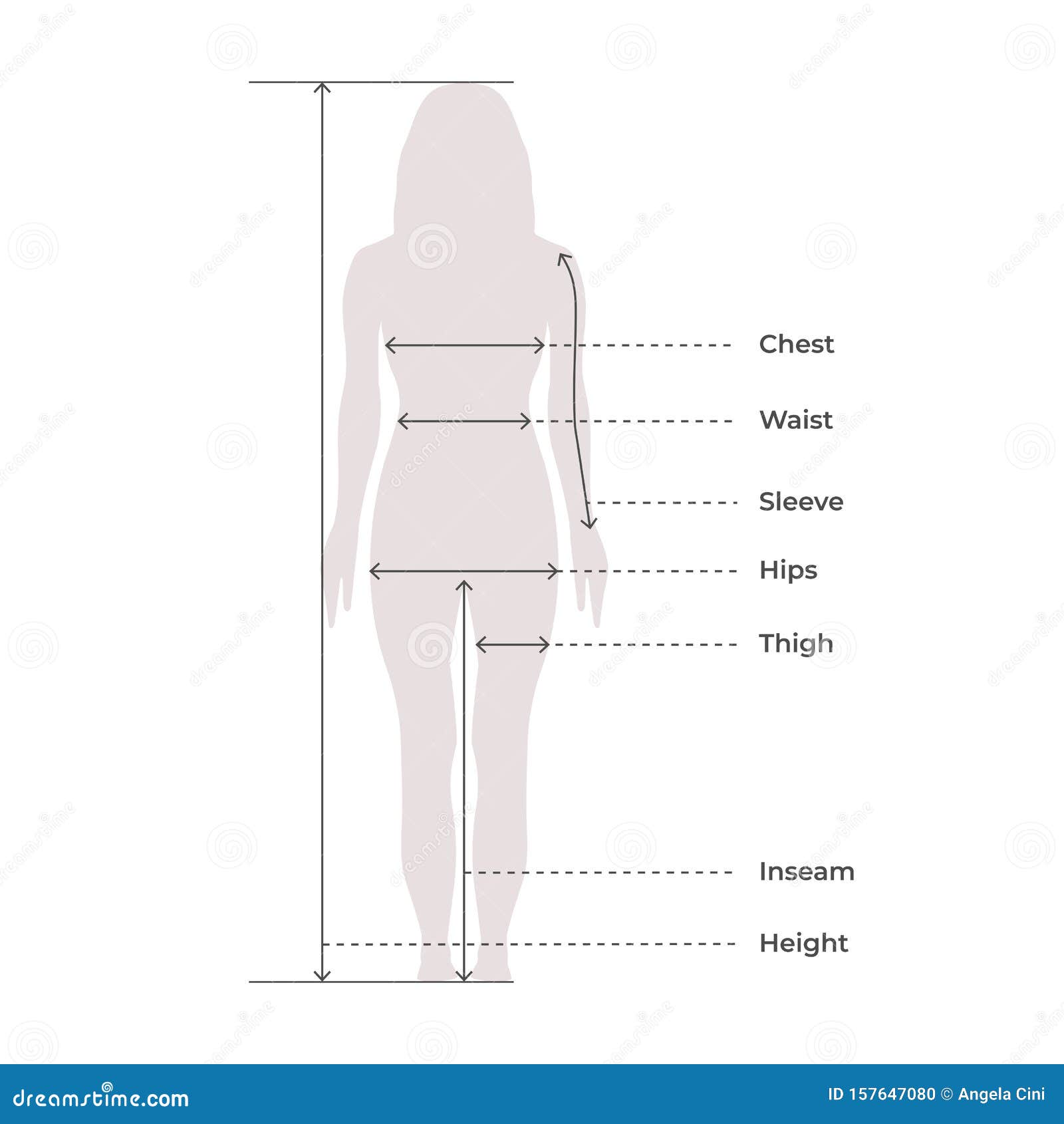 body-download-female-body-measurement-chart-for-sewing-pdf-pictures