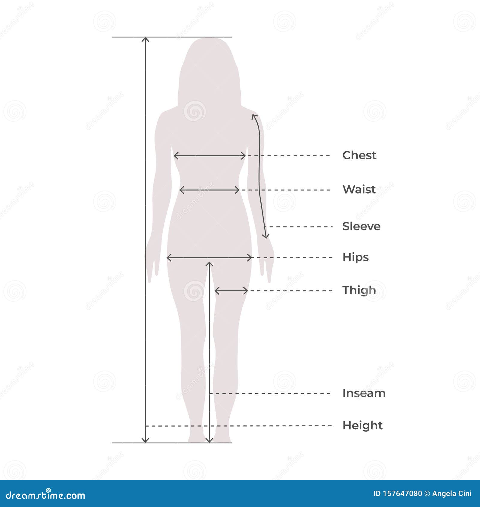 Men standard body parts terminology measurements Illustration for clothes  and accessories production fashion male size chart. 9 head boy for site and  online shop. Human body infographic template Stock Vector Image 