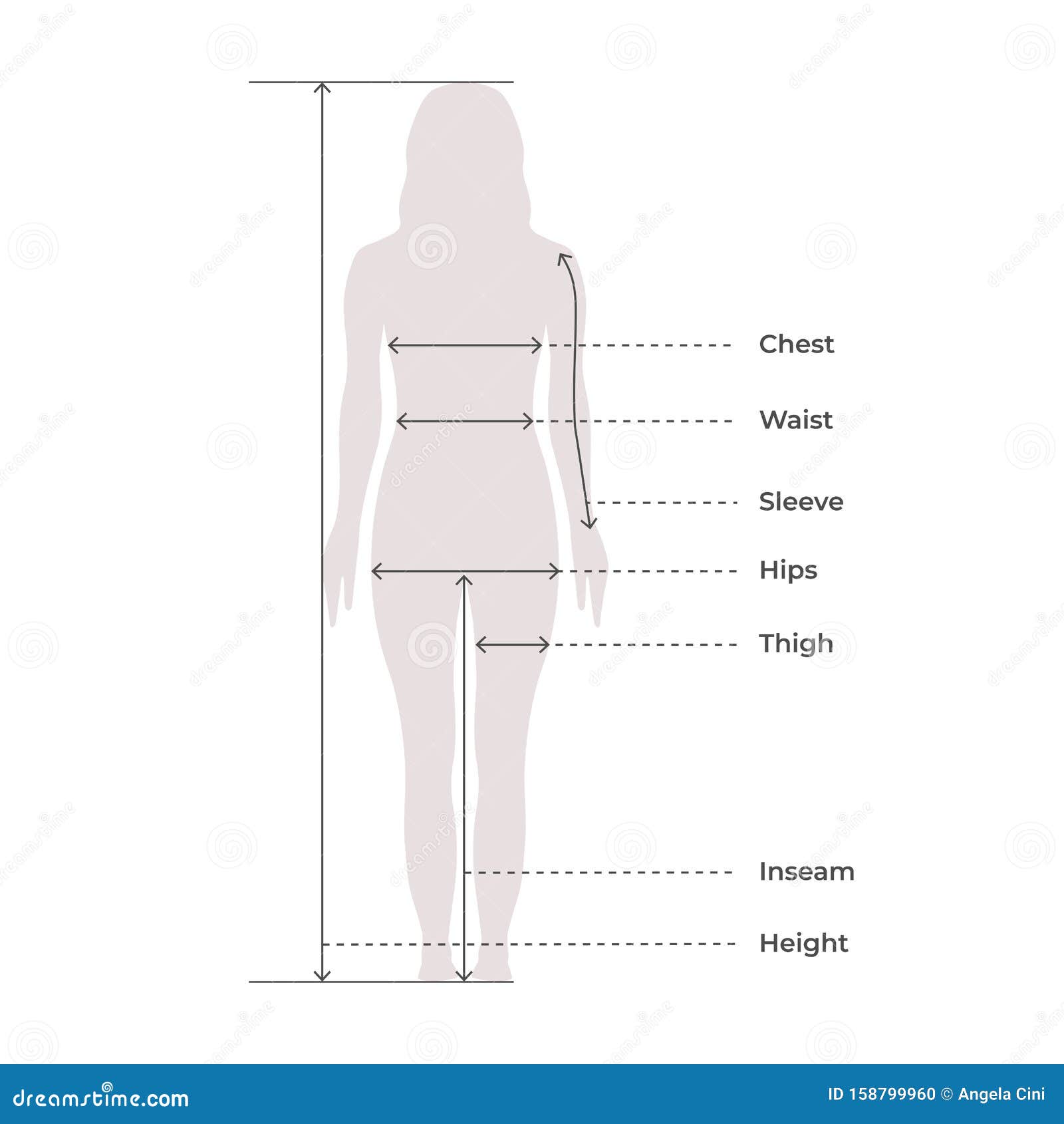 Woman Female Body Measurement Proportions for Clothing Design and Sewing  Chart for Fashion Vector Illustration Stock Vector - Illustration of  fitness, diet: 158799960