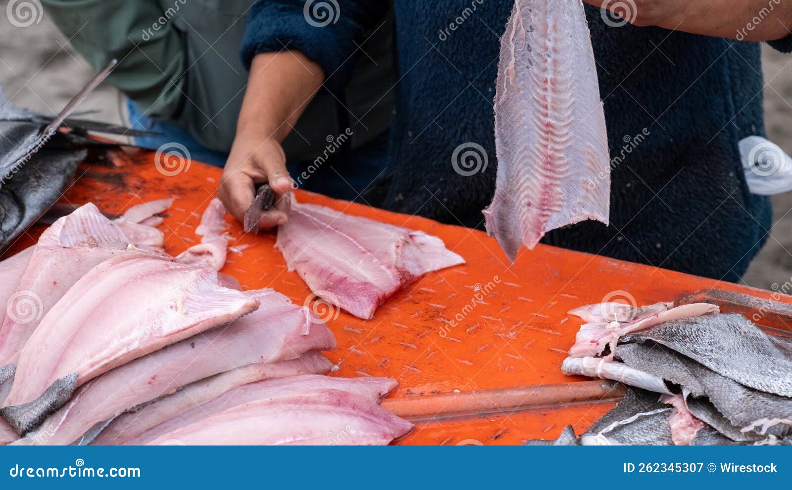 Woman Filleting Fish, Cleaning Fish for Raw Food, Pippin Chilean Fish,  Special for Ceviche Stock Image - Image of maritime, exploration: 262345307