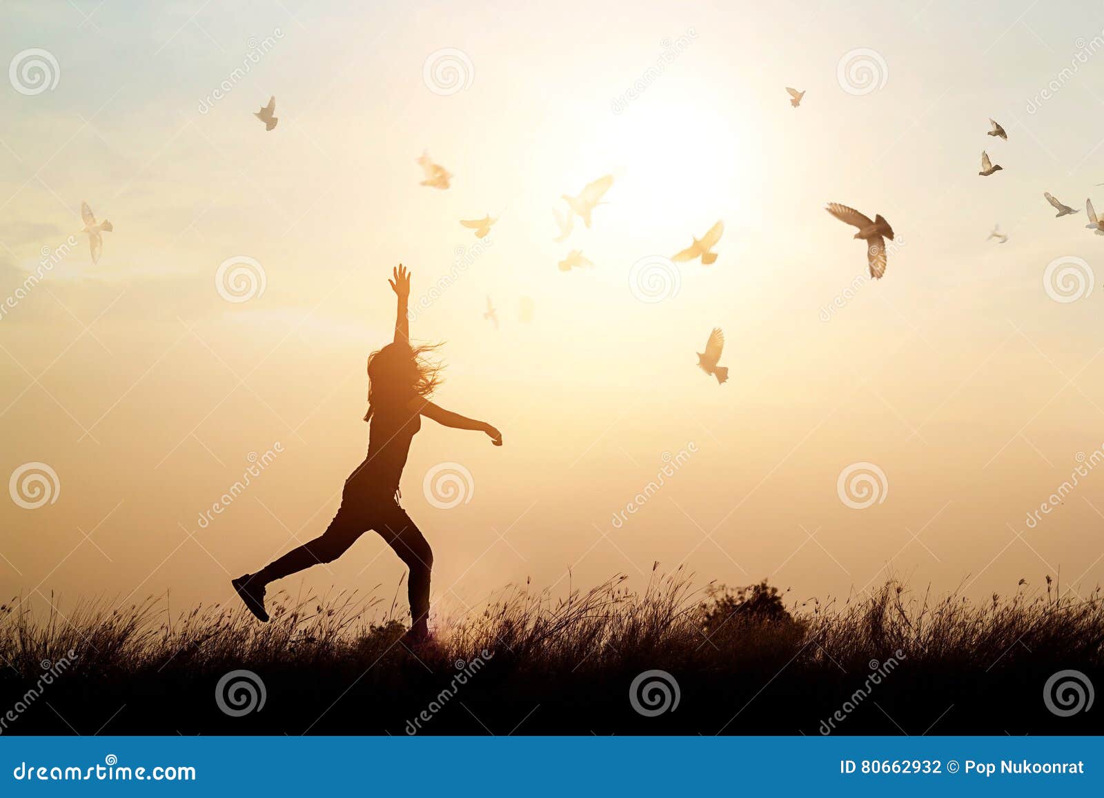 woman and flying birds enjoying life in nature on sunset