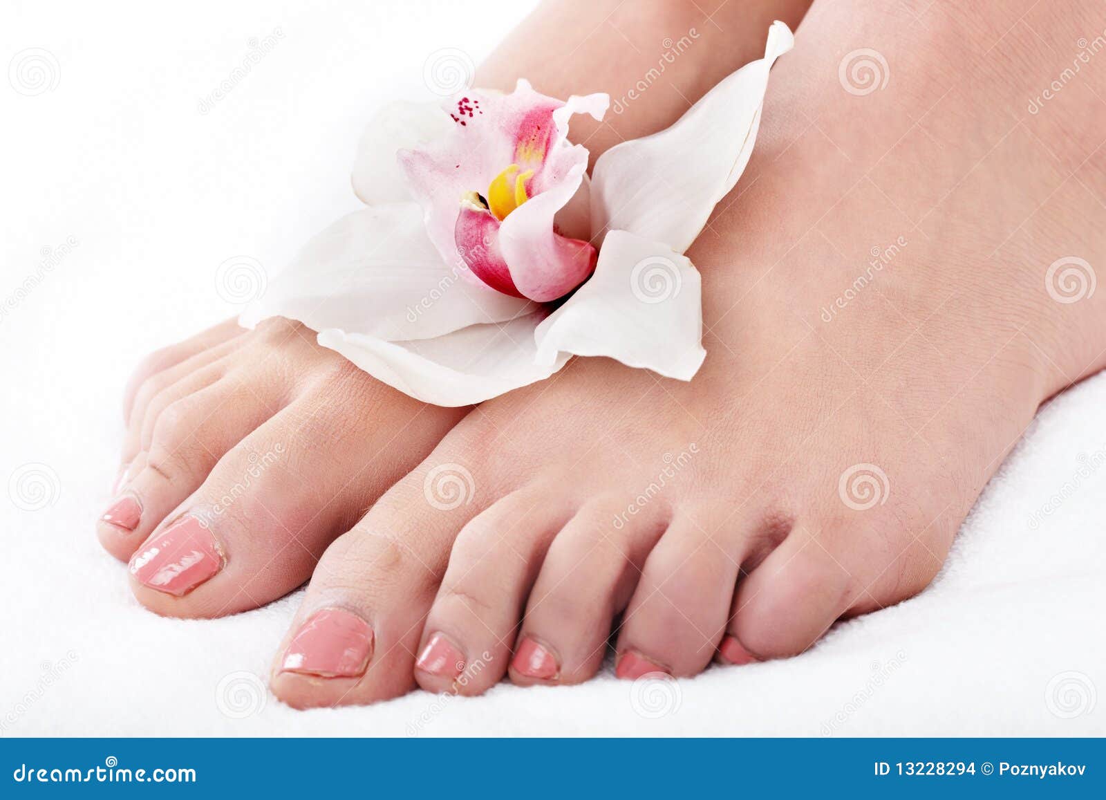 Woman Foot with Flower Lily. Stock Photo Image of foot, person 13228294
