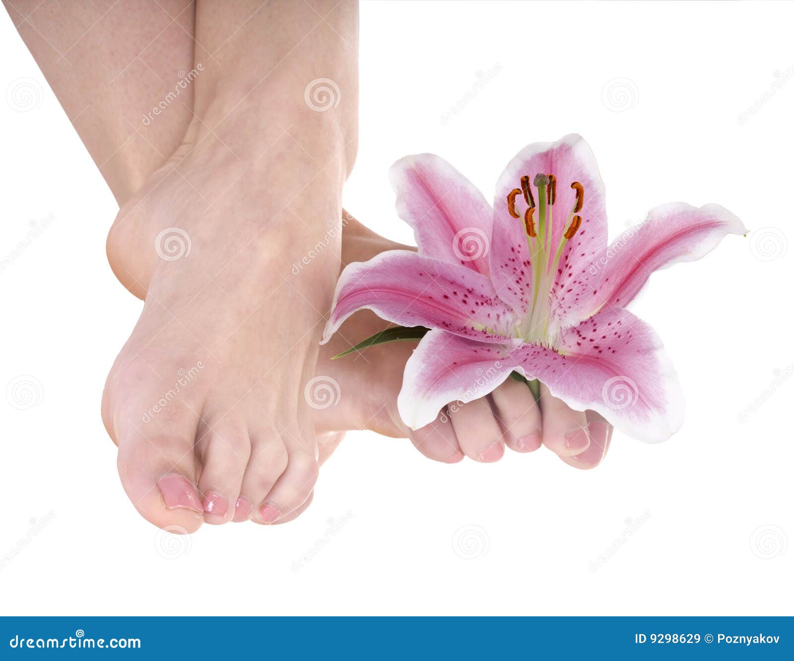 Woman Foot with Flower Lily. Stock Image Image of caucasian, toes