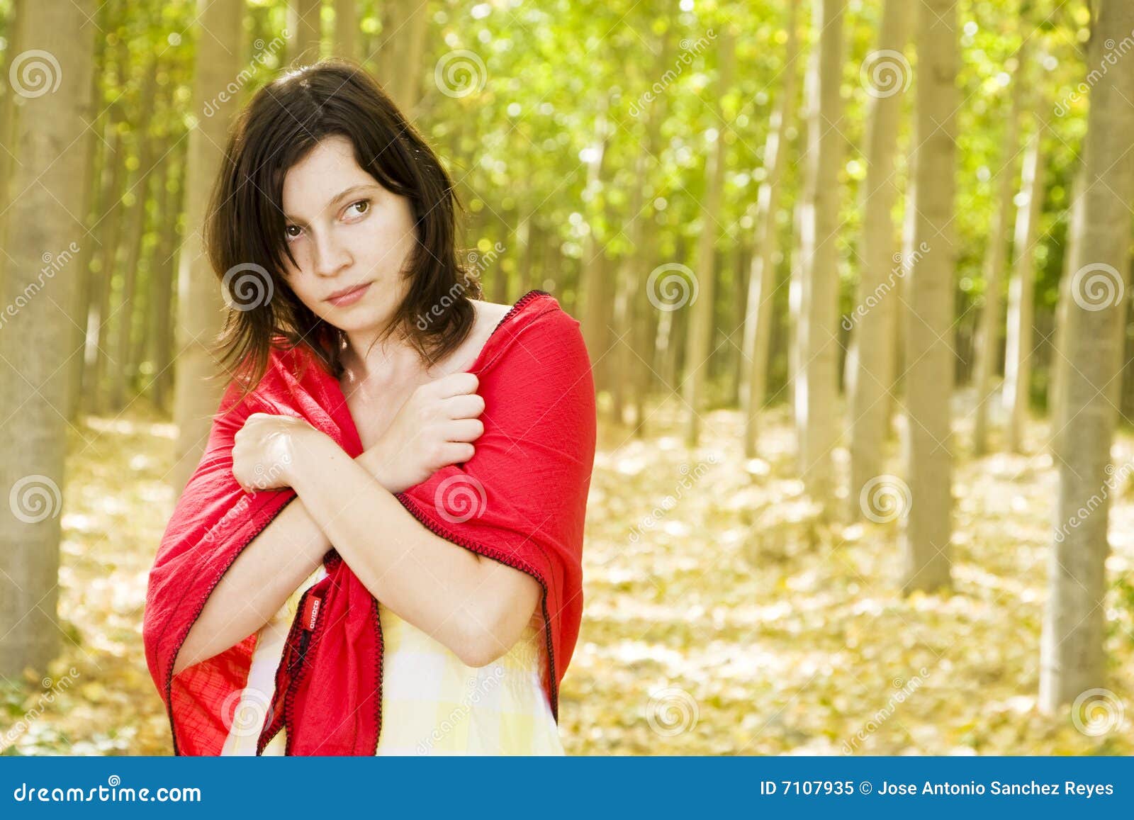 Woman in forest stock image. Image of lovely, adult, beauty - 7107935