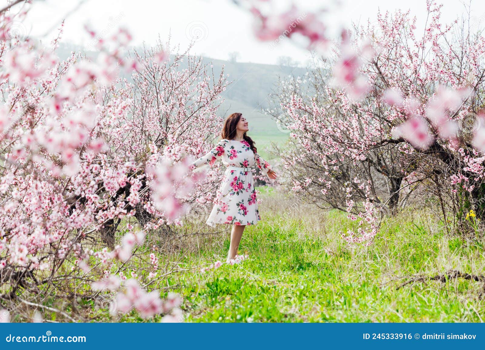 A Woman in a Garden of Flowering Trees in the Spring Stock Photo ...