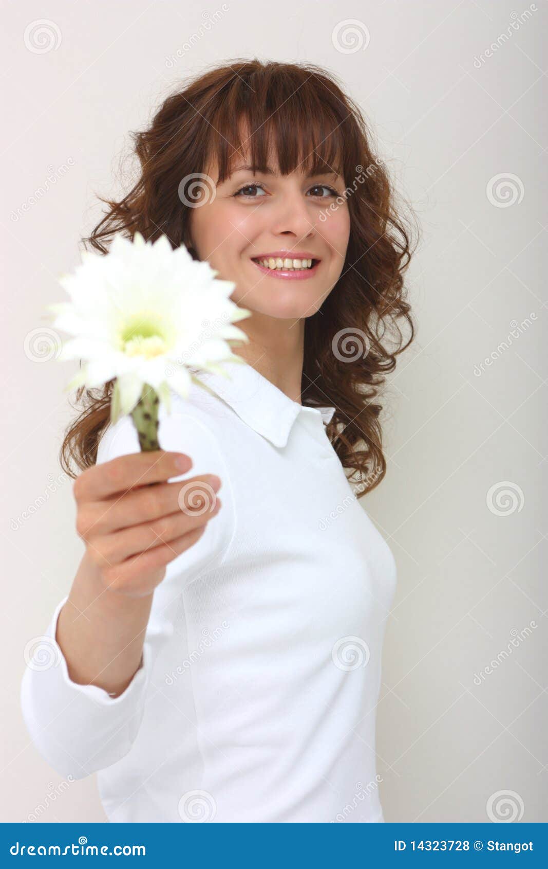 A woman give a flower stock photo. Image of share, giving 14323728