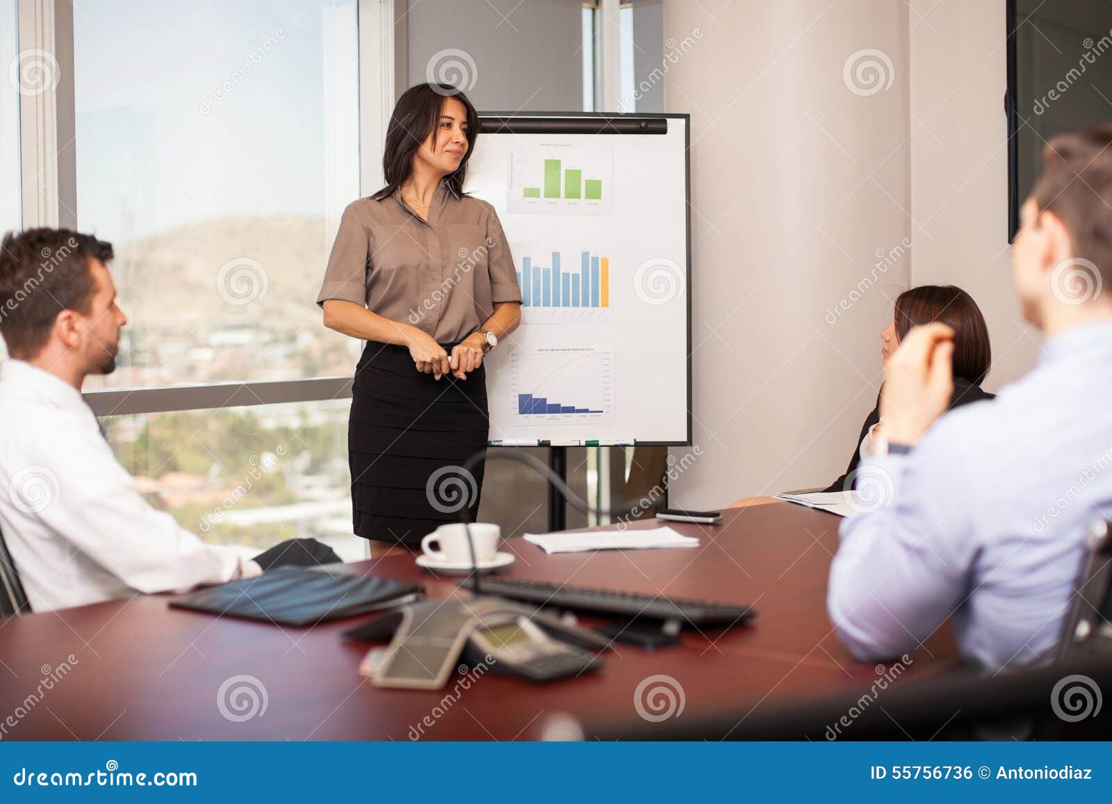 woman giving a sales pitch