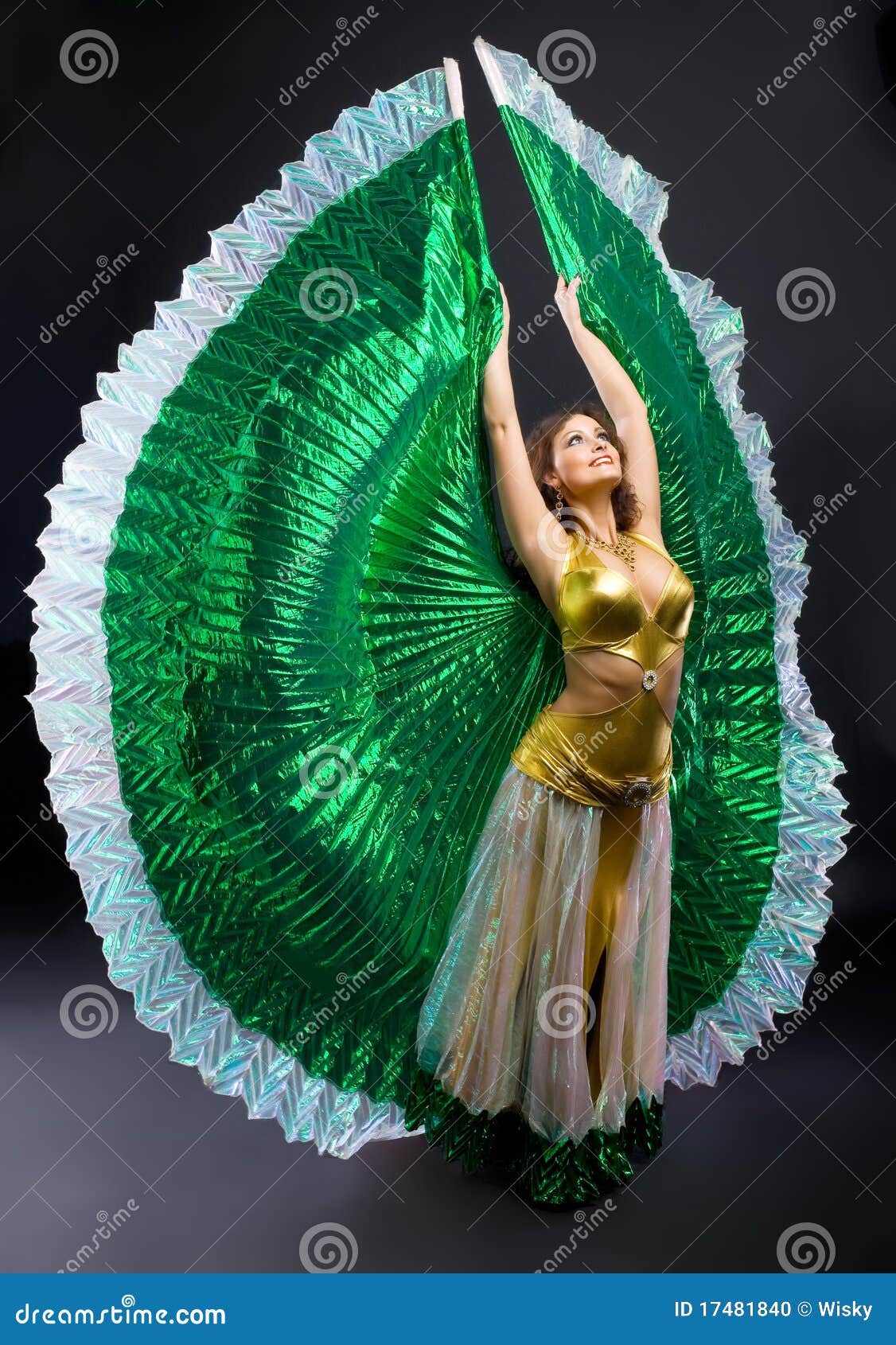 Woman In Gold Dress With Green Wing Stock Photo - Image of 