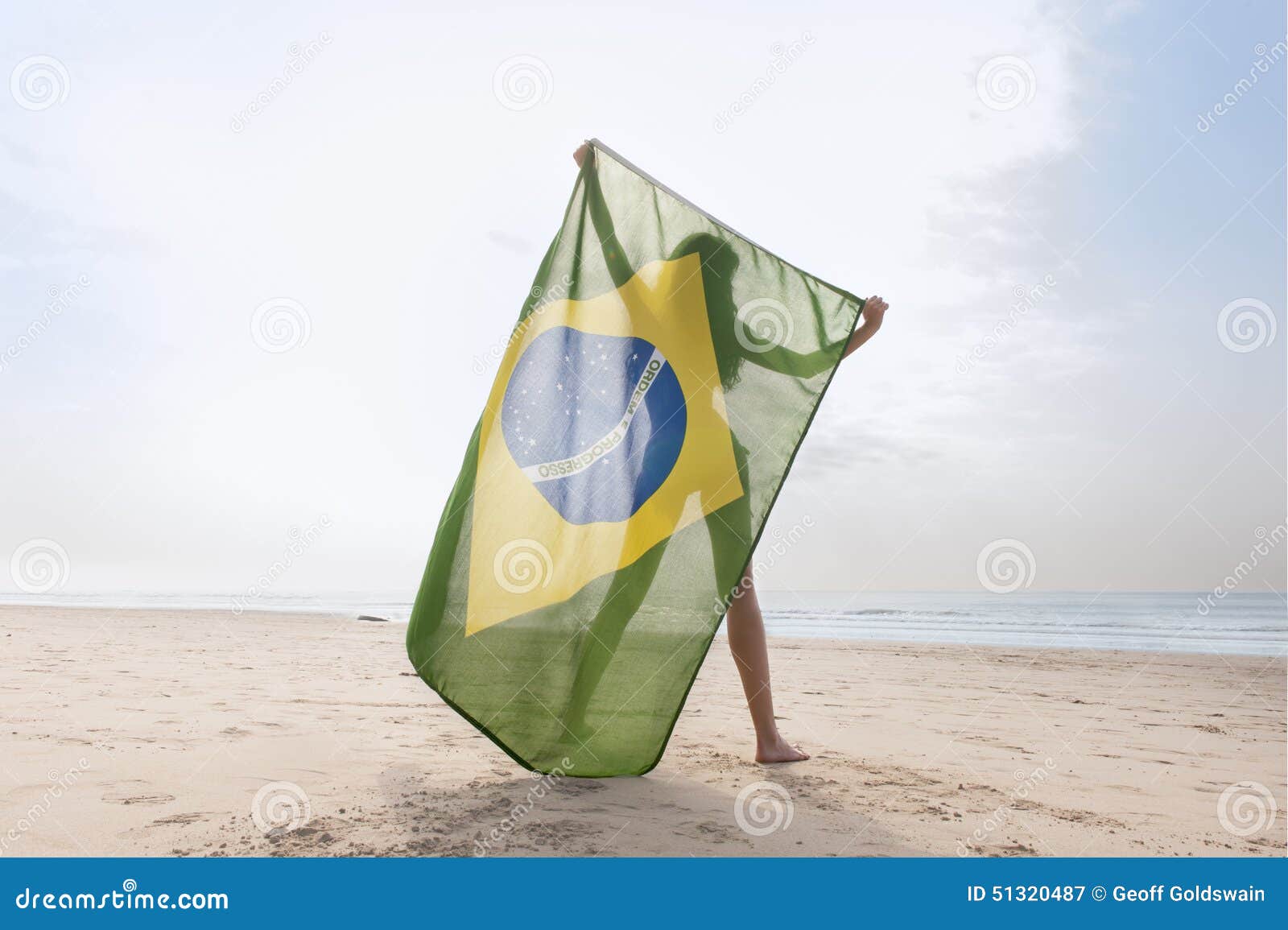 Bikini brazilian flag