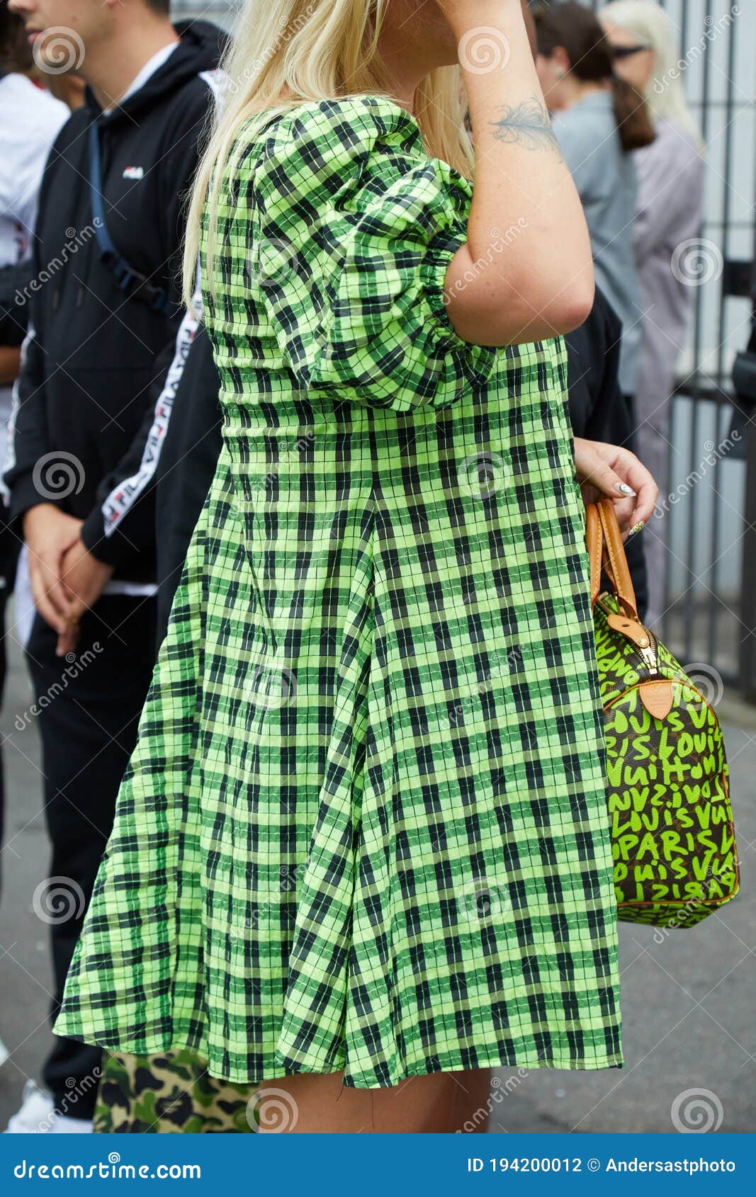Woman with Green and Black Checkered Dress and Louis Vuitton Bag