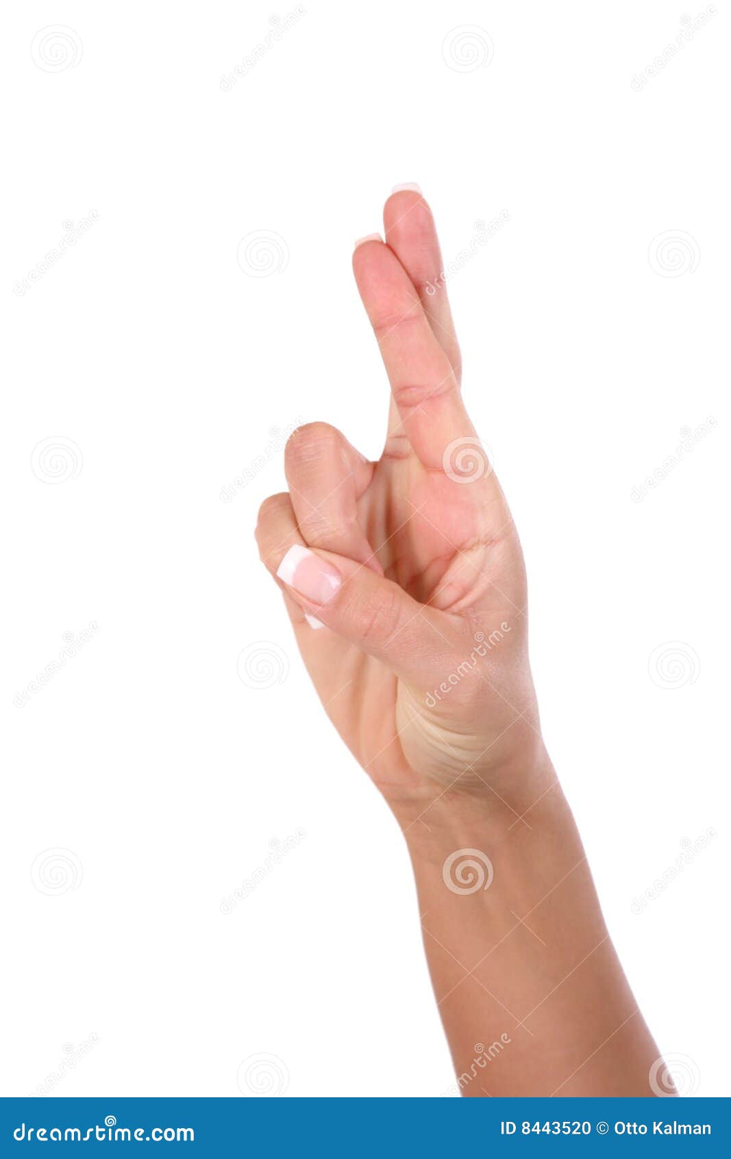 Woman hand and fingers stock photo. Image of gesticulation - 8443520