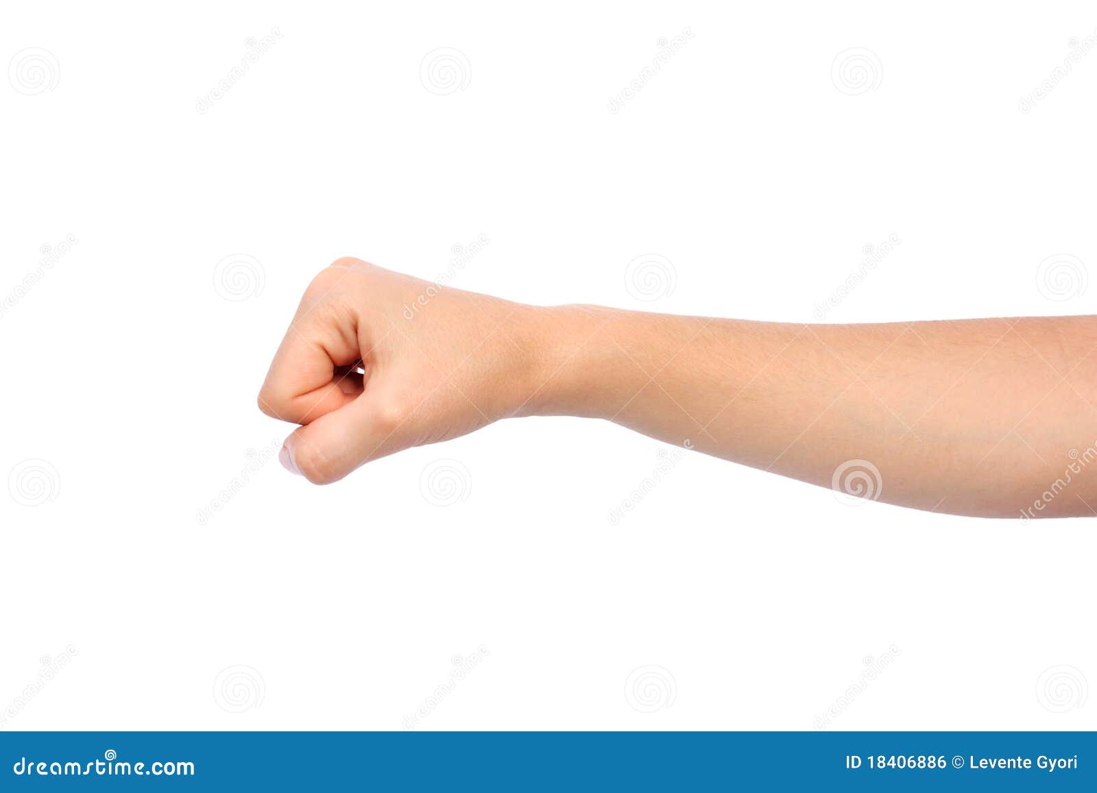 woman-hand-fist-18406886.jpg