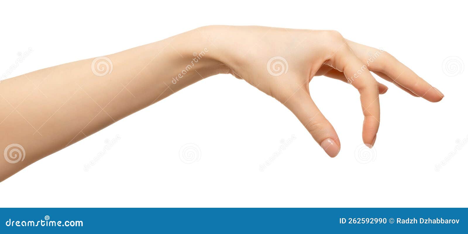 Woman Hand Grabbing Something Isolated on White Stock Photo Image of