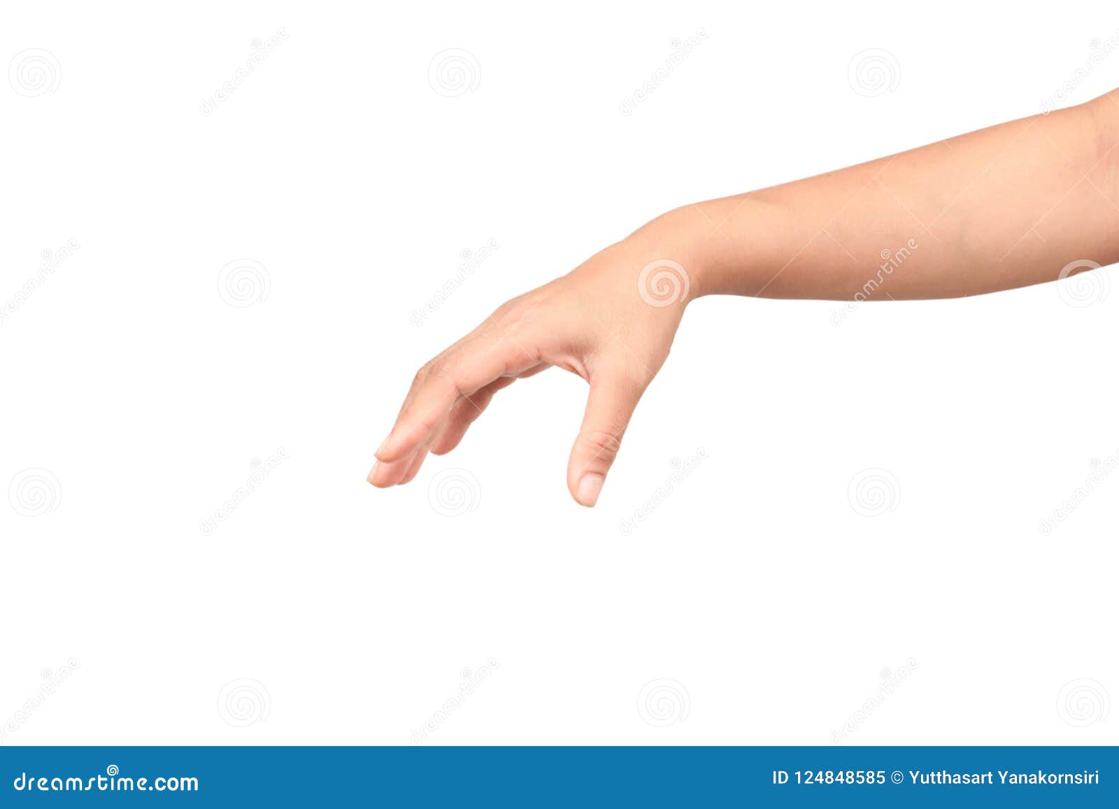 Woman Hand Holding Items Isolated on White Background Stock Image