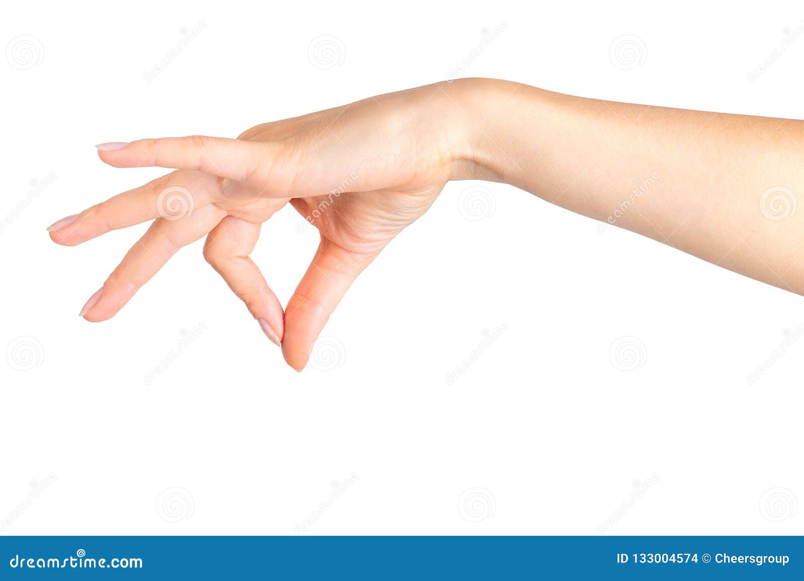 Two Hands Partnership Hand Poses American Stock Photo 313828724 |  Shutterstock